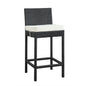 Lift Bar Stool in Espresso White