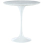 Lippa 20" Marble Side Table in White EEI-280-WHI