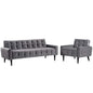 Delve Living Room Set Velvet Set of 2, Velvet Fabric, Grey Gray 13932