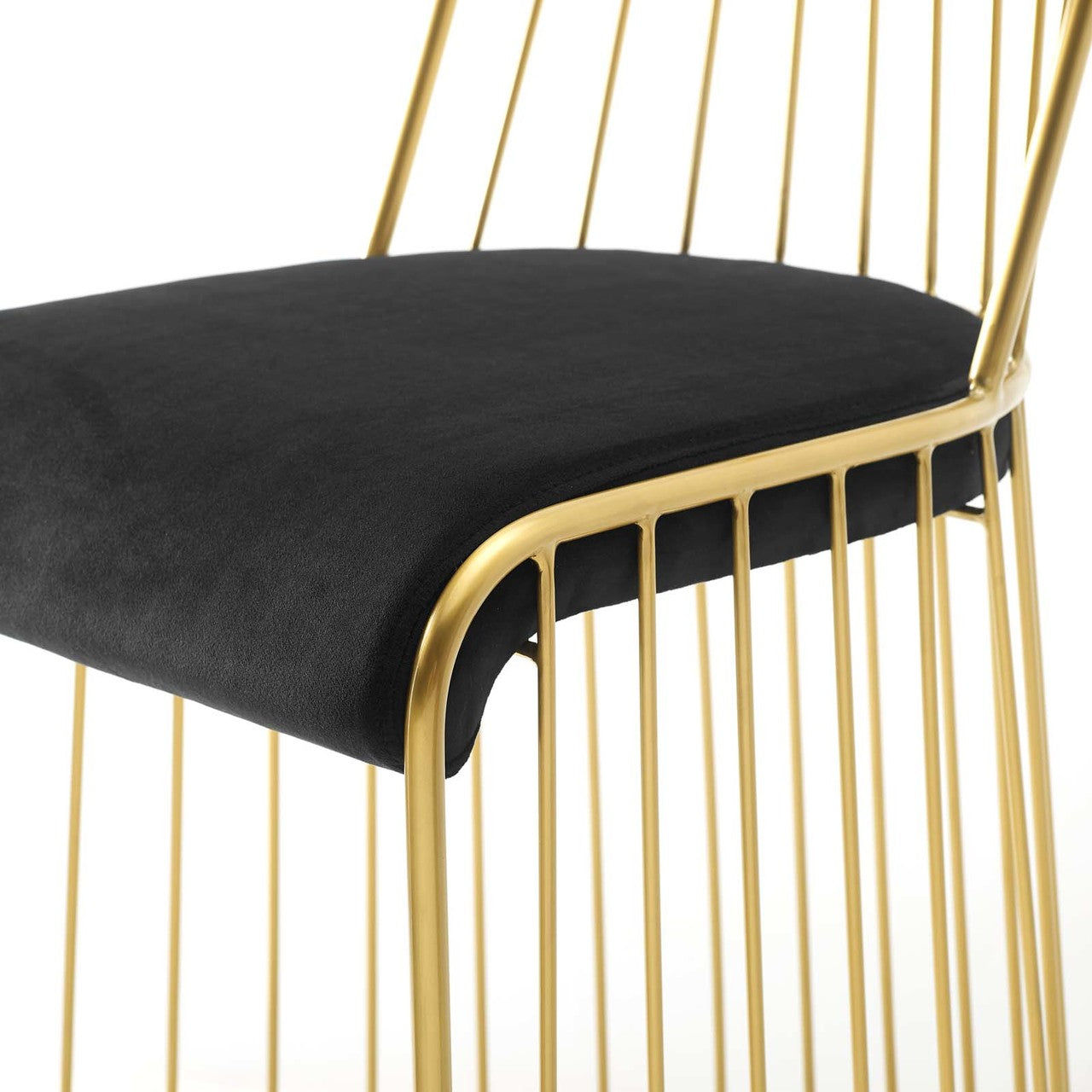 Rivulet Gold Stainless Steel Upholstered Velvet Dining Chair, Velvet Fabric Metal Steel, Gold Black 15189