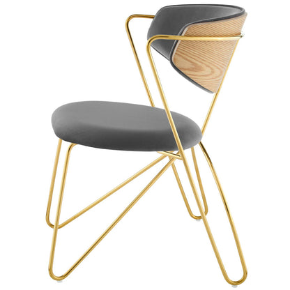 Prevail Gold Stainless Steel Dining and Accent Performance Velvet Chair, Velvet Fabric Steel Metal, Gold Grey Gray, 17575