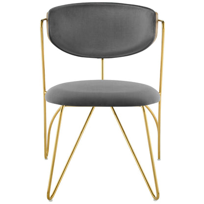 Prevail Gold Stainless Steel Dining and Accent Performance Velvet Chair, Velvet Fabric Steel Metal, Gold Grey Gray, 17575