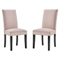 Parcel Performance Velvet Dining Side Chairs - Set of 2, Velvet, Wood, Pink, 18411