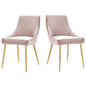 Viscount Performance Velvet Dining Chairs - Set of 2, Velvet, Metal Steel, Gold Pink, 18527