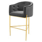 Savour Tufted Performance Velvet Bar Stool, Velvet, Metal Steel, Dark Grey Gray, 18772