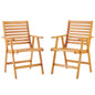 Hatteras Outdoor Patio Eucalyptus Wood Armchair Set of 2, Wood, Brown Natural, 18886