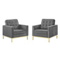 Loft Gold Stainless Steel Leg Performance Velvet Armchair Set of 2, Velvet, Steel, Gold Grey Gray, 19196