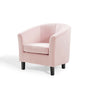 Prospect Performance Velvet Armchair, Velvet, Pink, 19330