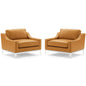 Harness Stainless Steel Base Leather Armchair Set of 2, Leather, Steel, Tan, 19515