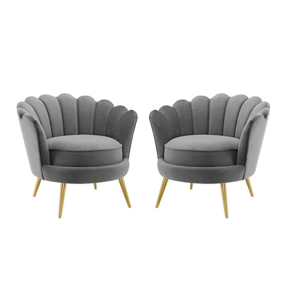 Admire Accent Armchair Performance Velvet Set of 2, Velvet, Metal Steel, Grey Gray, 19685