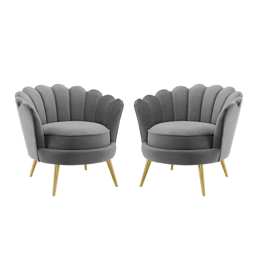 Admire Accent Armchair Performance Velvet Set of 2, Velvet, Metal Steel, Grey Gray, 19685