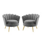 Admire Accent Armchair Performance Velvet Set of 2, Velvet, Metal Steel, Grey Gray, 19685