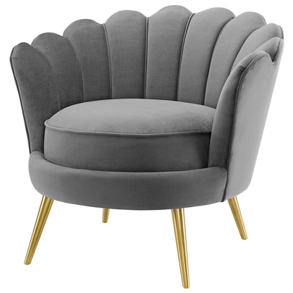 Admire Accent Armchair Performance Velvet Set of 2, Velvet, Metal Steel, Grey Gray, 19685