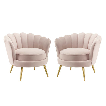 Admire Accent Armchair Performance Velvet Set of 2, Velvet, Metal Steel, Pink, 19687