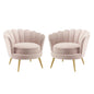 Admire Accent Armchair Performance Velvet Set of 2, Velvet, Metal Steel, Pink, 19687