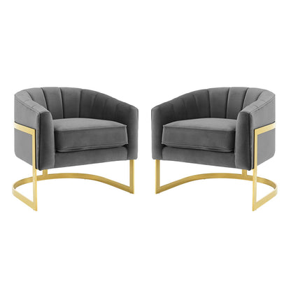 Esteem Accent Armchair Performance Velvet Set of 2, Velvet, Metal Steel, Grey Gray, 20022