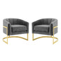 Esteem Accent Armchair Performance Velvet Set of 2, Velvet, Metal Steel, Grey Gray, 20022