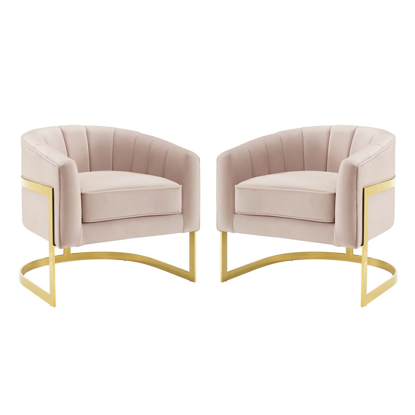 Esteem Accent Armchair Performance Velvet Set of 2, Velvet, Metal Steel, Pink, 20024