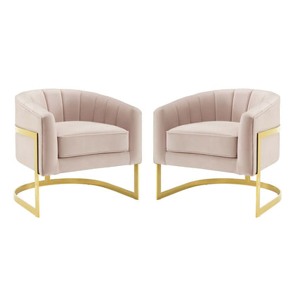 Esteem Accent Armchair Performance Velvet Set of 2, Velvet, Metal Steel, Pink, 20024