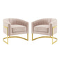 Esteem Accent Armchair Performance Velvet Set of 2, Velvet, Metal Steel, Pink, 20024