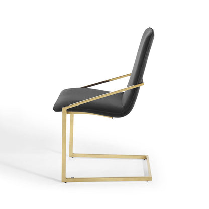 Pitch Dining Armchair Performance Velvet Set of 2, Velvet, Metal Steel, Gold Black, 20109