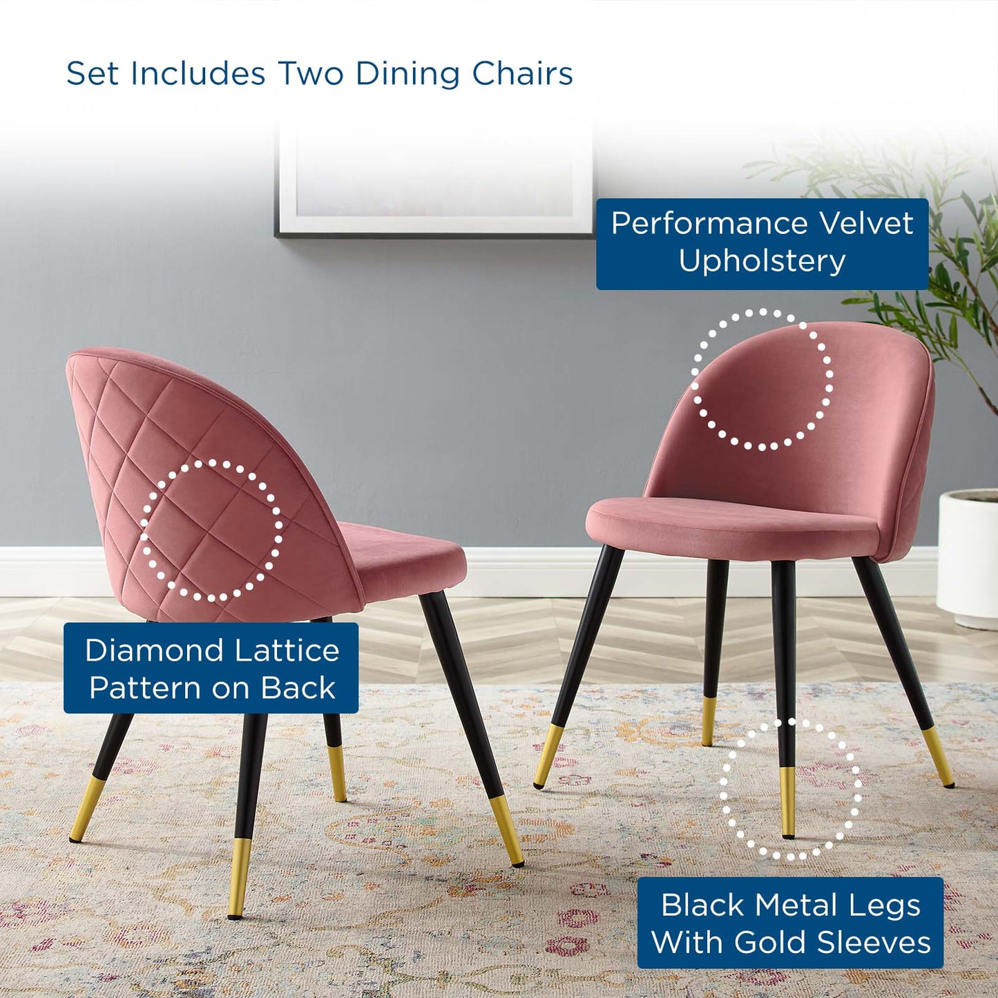 Cordial Performance Velvet Dining Chairs - Set of 2, Velvet, Pink, 20195