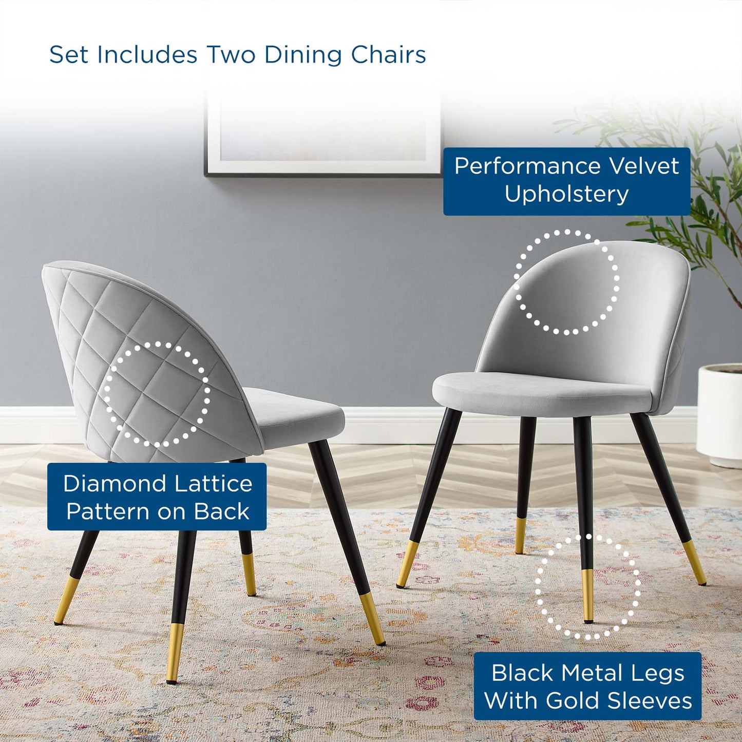Cordial Performance Velvet Dining Chairs - Set of 2, Velvet, Light Grey Gray, 20197