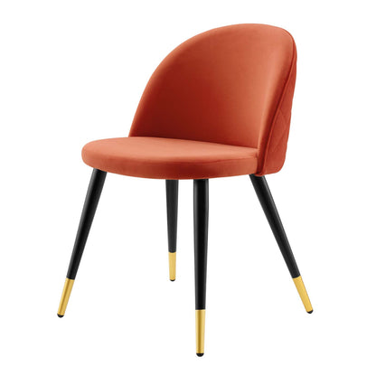 Cordial Performance Velvet Dining Chairs - Set of 2, Velvet, Orange, 20200