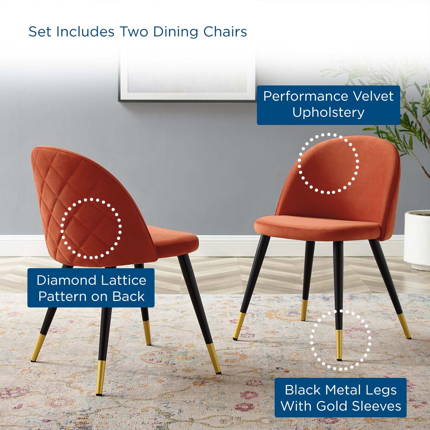 Cordial Performance Velvet Dining Chairs - Set of 2, Velvet, Orange, 20200