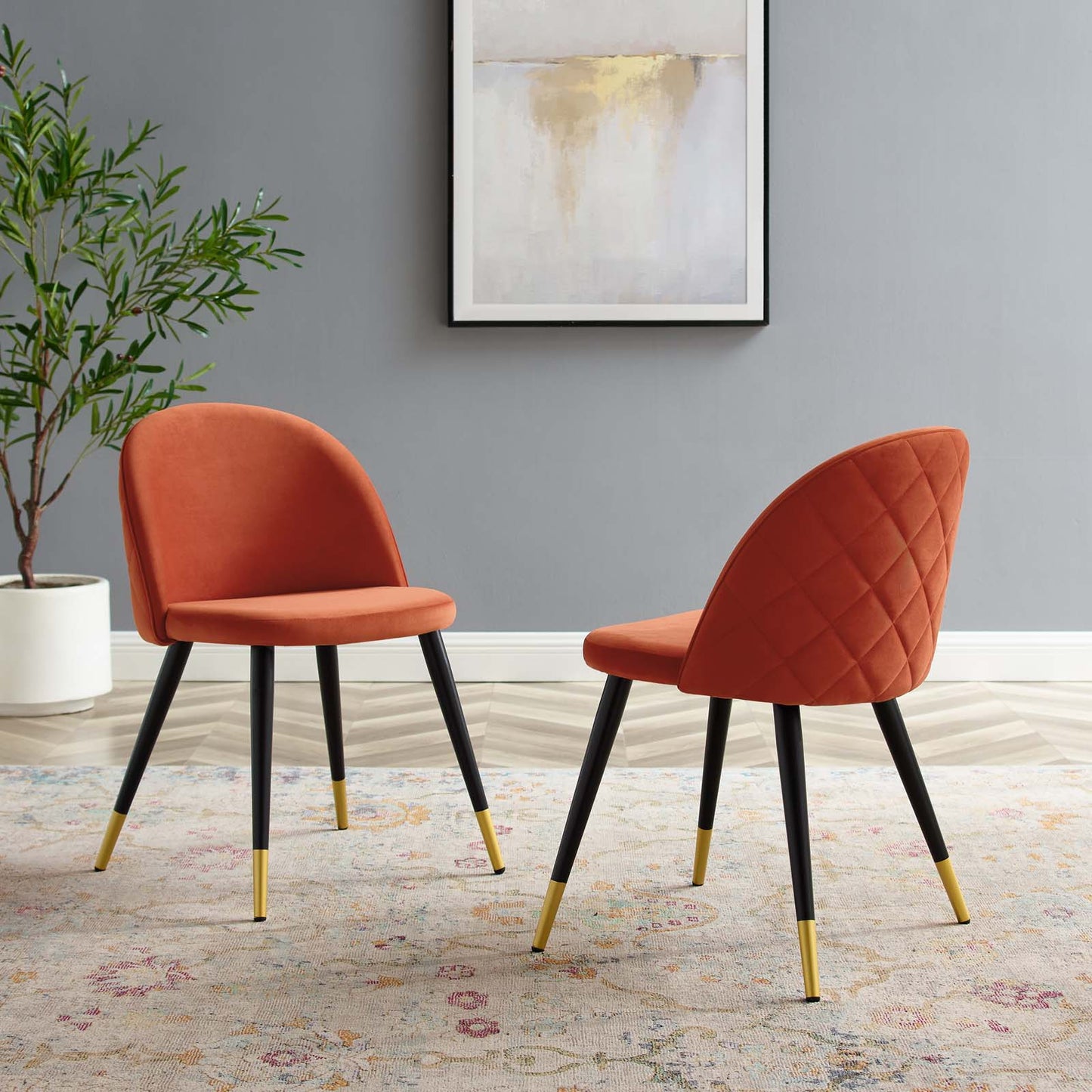 Cordial Performance Velvet Dining Chairs - Set of 2, Velvet, Orange, 20200