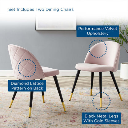 Cordial Performance Velvet Dining Chairs - Set of 2, Velvet, Pink, 20201