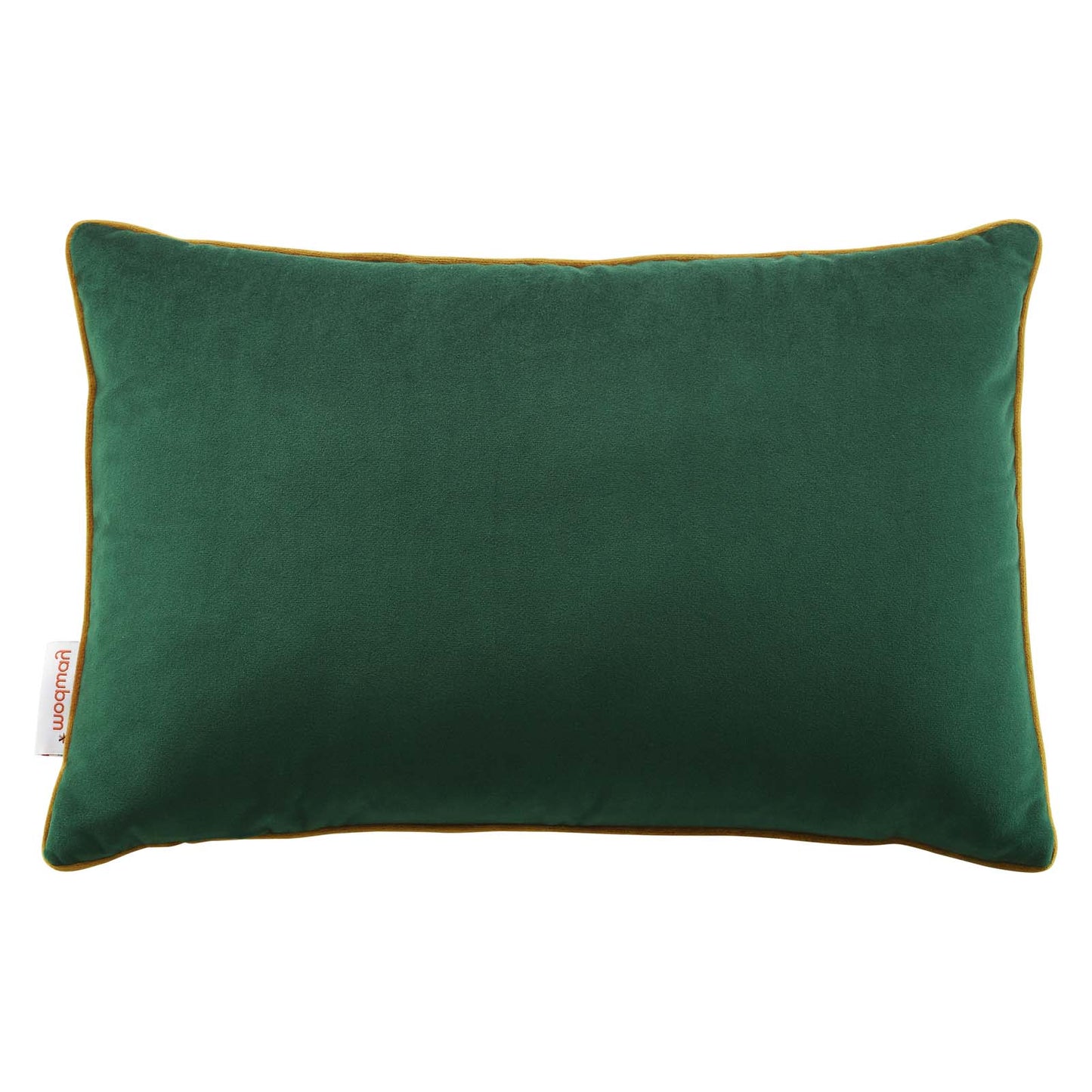 Accentuate 18" Lumbar Performance Velvet Throw Pillow, Velvet, Green Brown, 20484