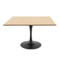 Lippa 47" Wood Square Dining Table, Wood, Balck Brown Natural, 20664