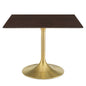 Lippa 40" Square Wood Dining Table, Wood, Gold Dark Brown Brown Walnut, 20932