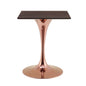 Lippa 24" Square Wood Dining Table, Wood, Rose Gold Dark Brown Brown Walnut, 20949