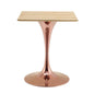 Lippa 24" Square Wood Dining Table, Wood, Rose Gold Brown Natural, 20950