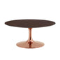 Lippa 36" Wood Coffee Table, Wood, Metal Steel, Rose Gold Dark Brown Brown Walnut, 20975