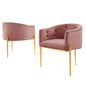 Savour Tufted Performance Velvet Accent Chairs - Set of 2, Velvet, Metal Steel, Pink, 21105