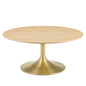 Lippa 36" Wood Coffee Table, Wood, Metal Steel, Gold Brown Natural, 21199