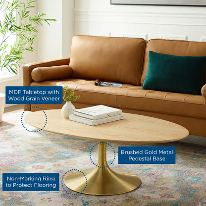 Lippa 48" Oval Wood Coffee Table, Wood, Metal Steel, Gold Brown Natural, 21201