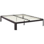 Corinne Queen Bed Frame, Brown, Metal 12367