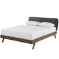 Gianna Queen Upholstered Polyester Fabric Platform Bed, Fabric, Grey Gray, 17752