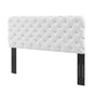 Lizzy Tufted Full/Queen Performance Velvet Headboard, Velvet, White, 21276