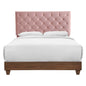 Rhiannon Diamond Tufted Upholstered Performance Velvet Queen Bed, Velvet, Wood, Brown Walnut Pink, 21323