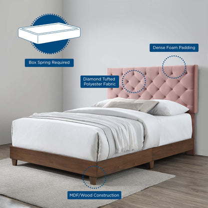 Rhiannon Diamond Tufted Upholstered Performance Velvet Queen Bed, Velvet, Wood, Brown Walnut Pink, 21323