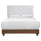 Rhiannon Diamond Tufted Upholstered Performance Velvet Queen Bed, Velvet, Wood, Brown Walnut White, 21324