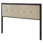 Teagan Tufted Full Headboard, Fabric, Metal Steel, Black Beige, 21427
