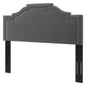 Lucia King/California King Performance Velvet Headboard, Velvet, Dark Grey Gray, 21903
