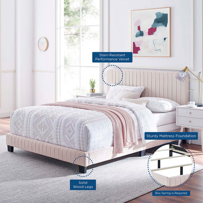 Celine Channel Tufted Performance Velvet King Bed, Velvet, Pink, 22005