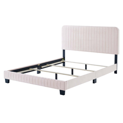 Celine Channel Tufted Performance Velvet Queen Bed, Velvet, Pink, 22014